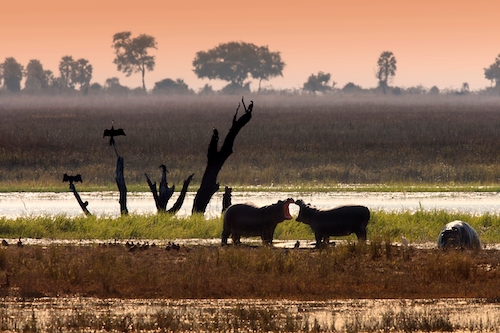 Botswana