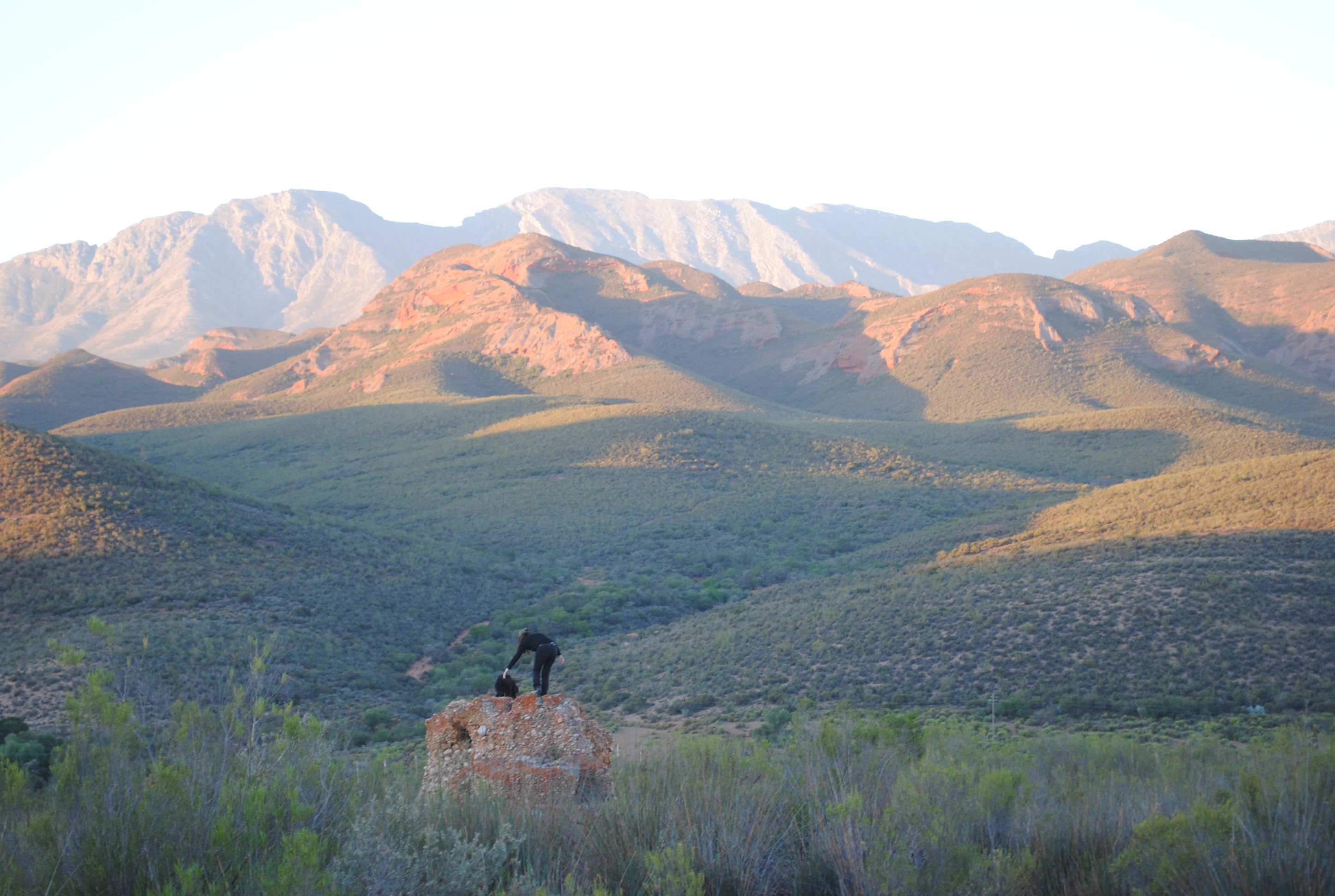 deep in the mountains on the game trails